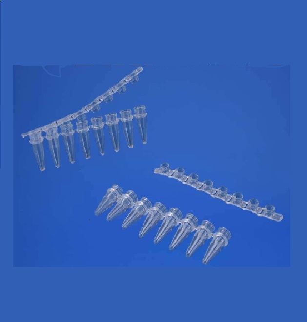 PCR Plates Semi Skirted - PP