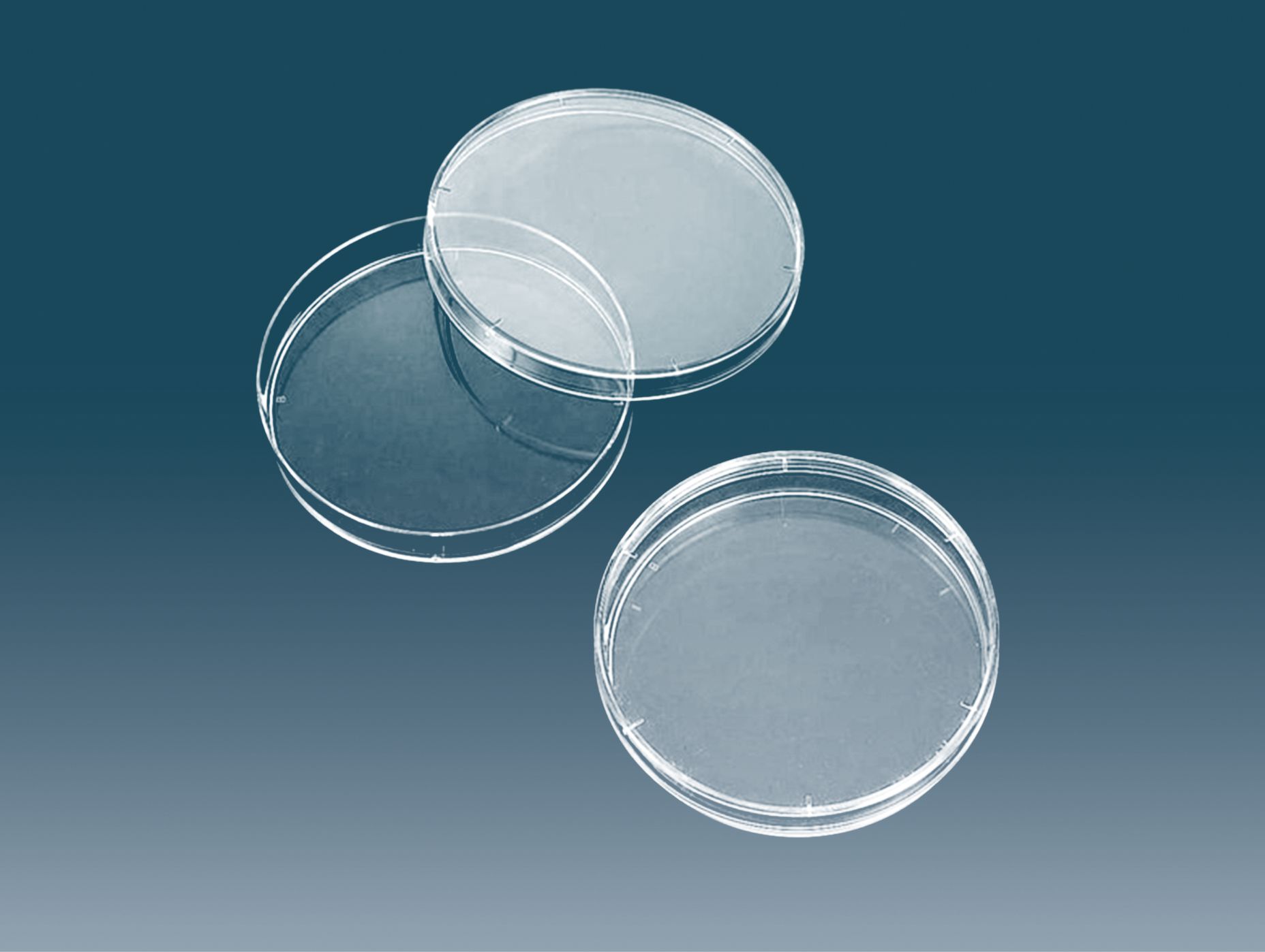 Petri Dish