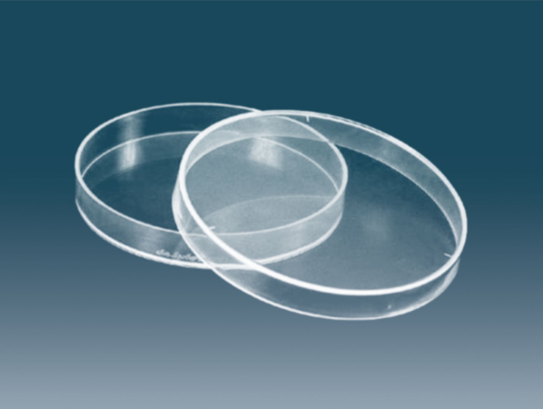 Petri Dish Disposable ETO Sterile 