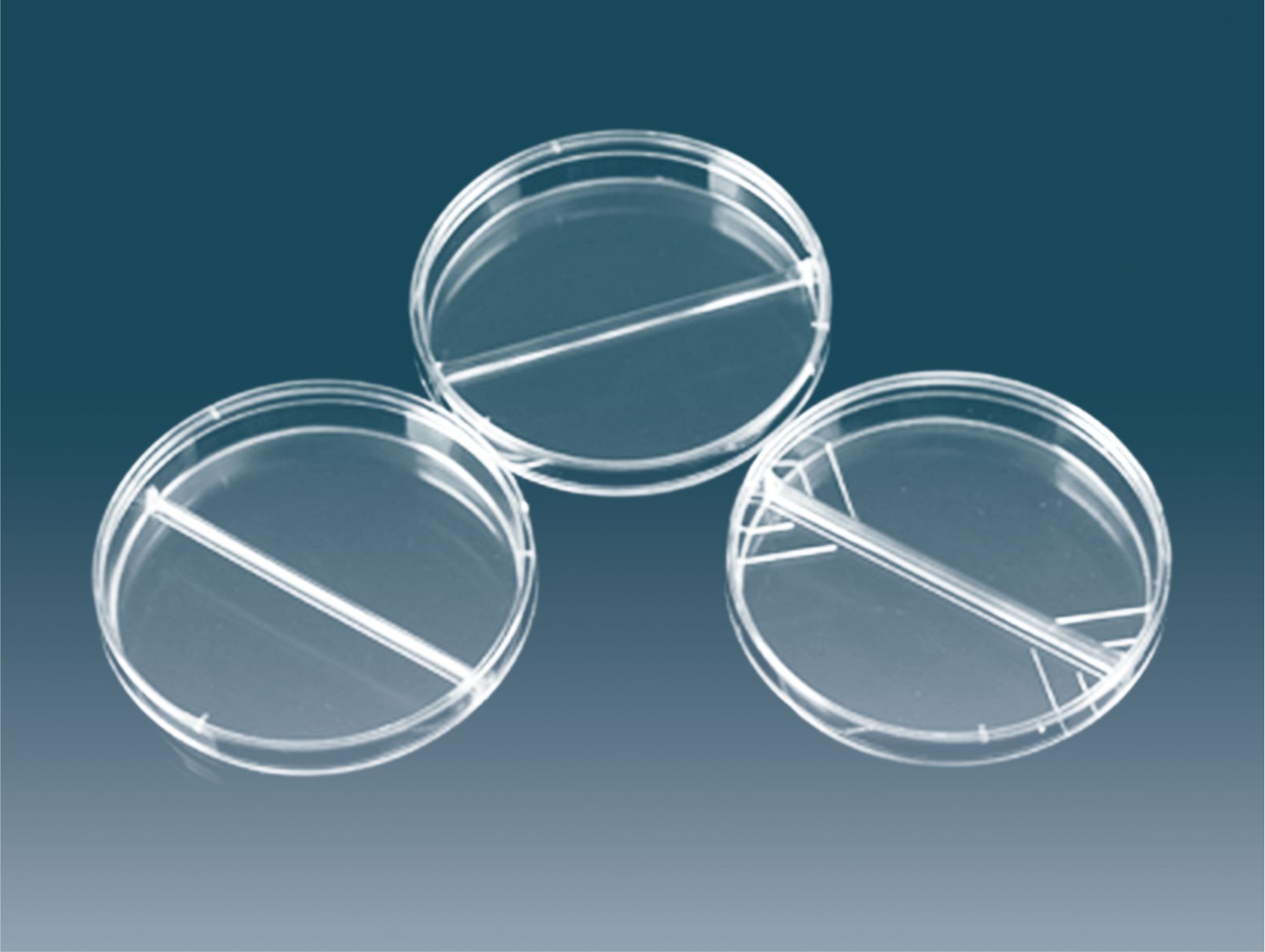 Petri Dish With Partition(2 Divisions) Gamma Radiation Sterile (Indivi Pack)