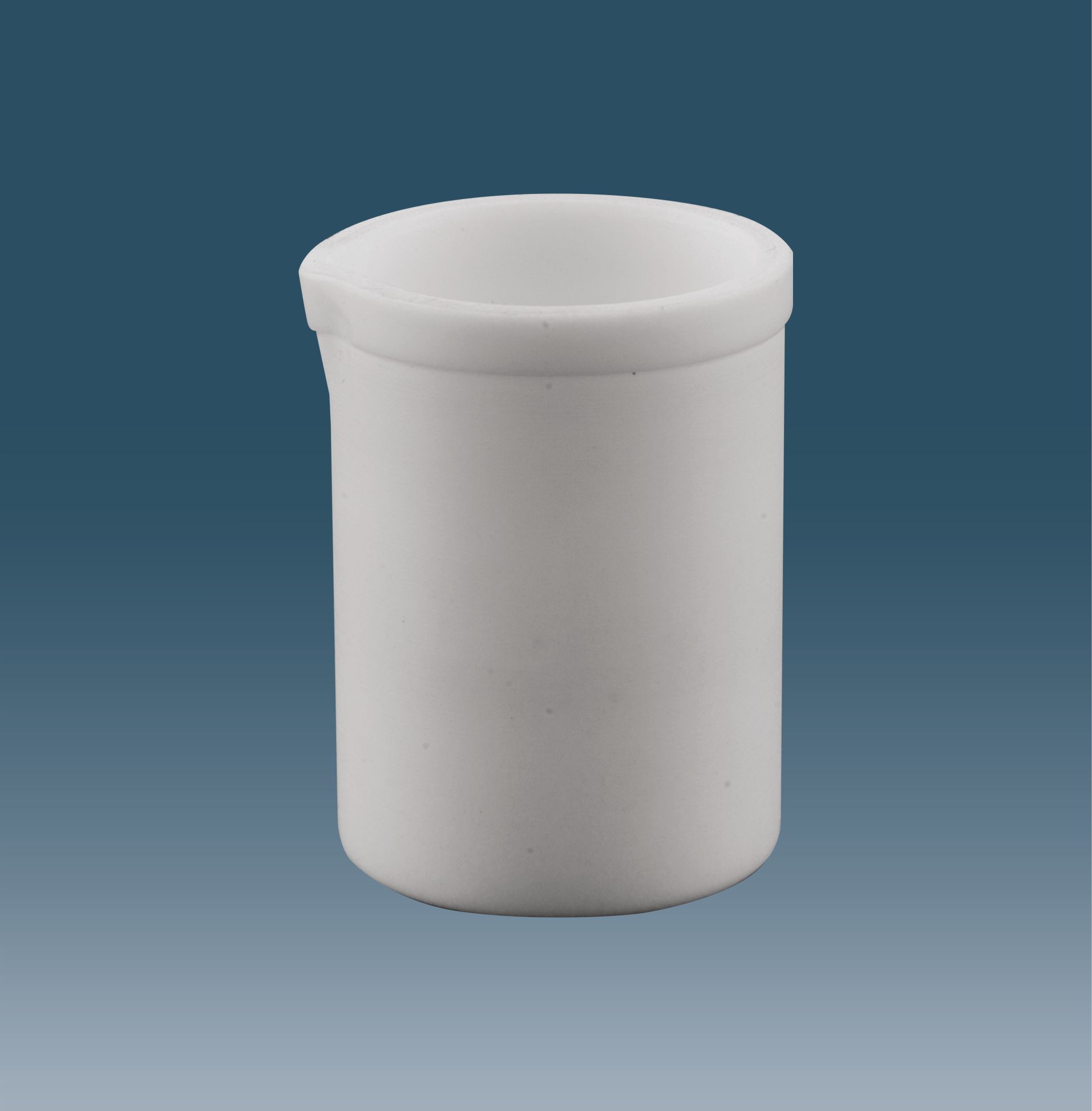 BEAKER PTFE