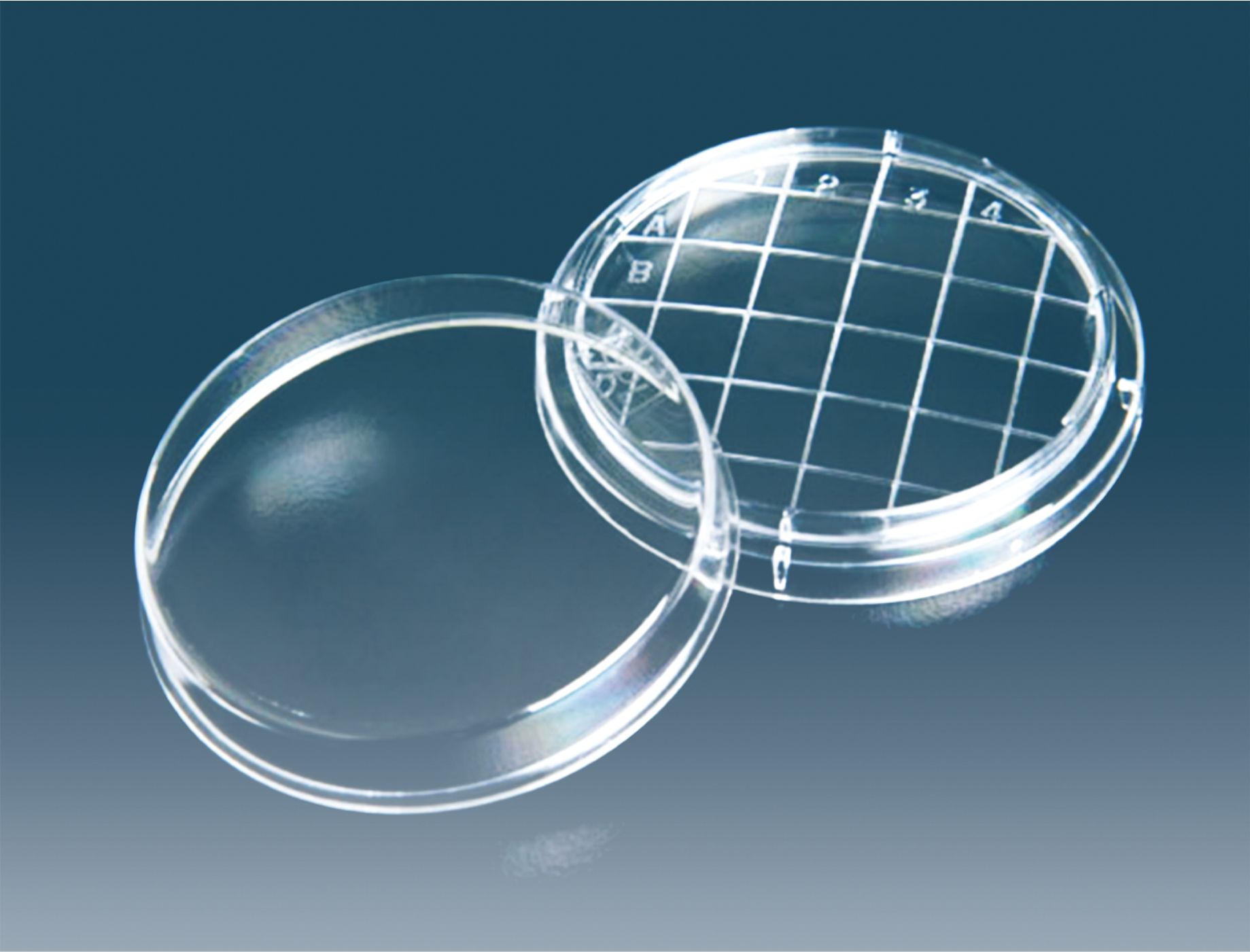 Contact Plates Gamma Sterile (Individual Pack) Convex (Dome)