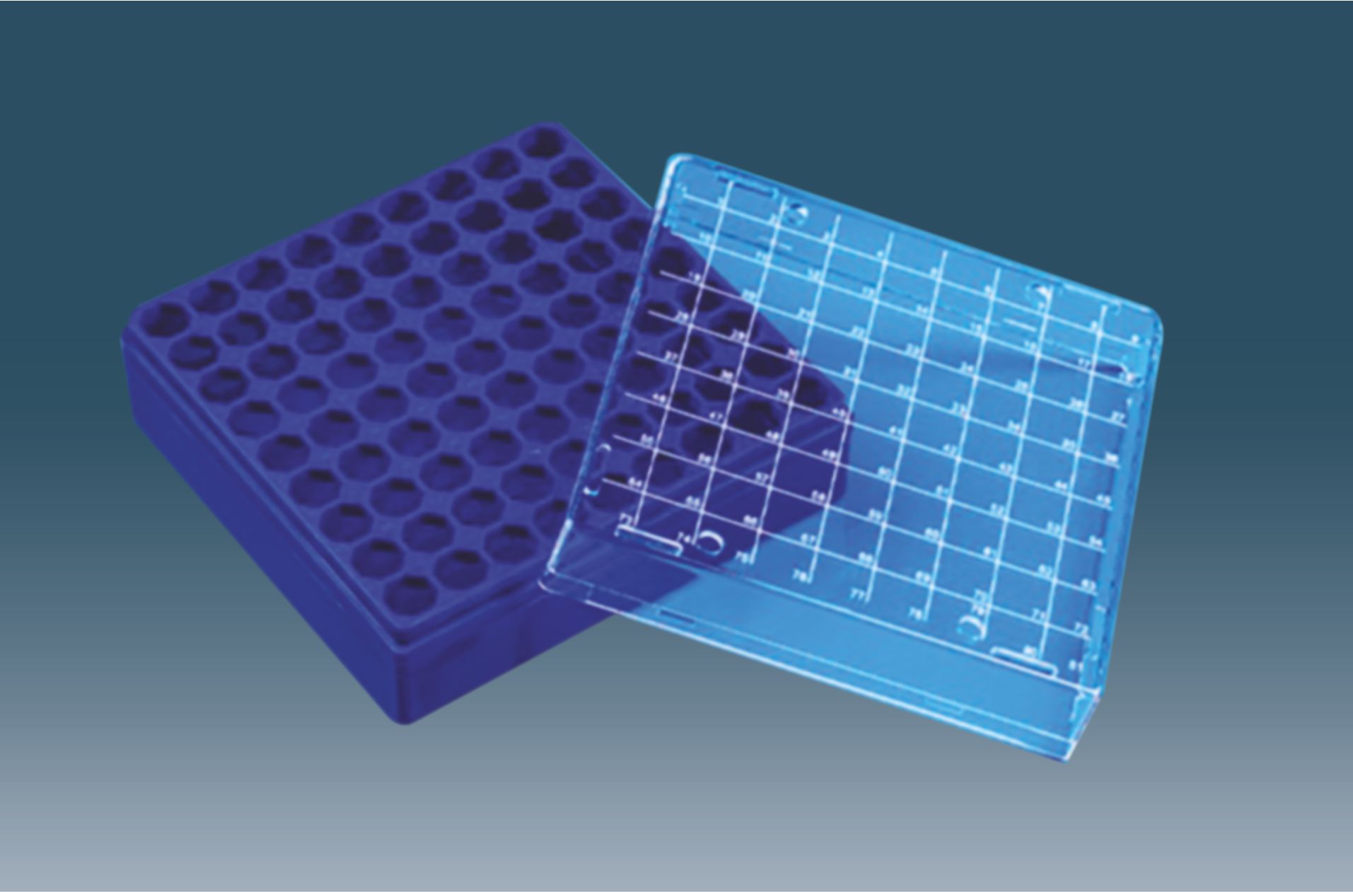 Multi Purpose Storage Box PP