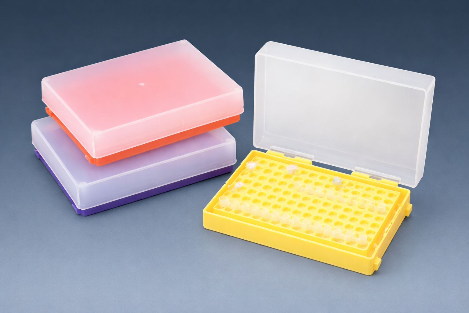 PCR Tube Rack With Lid 